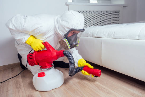 Professional Pest Control in Lake Ozark, MO