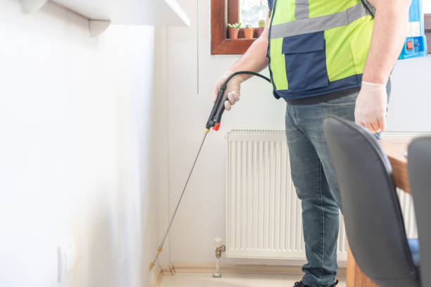 Best Wasp Removal Services  in Lake Ozark, MO