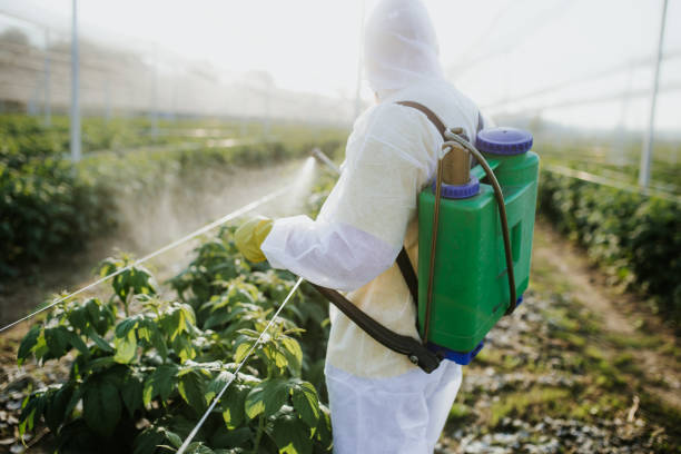 Best Residential Pest Control  in Lake Ozark, MO